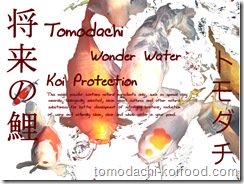 Magic White Powder von Tomodachi
