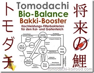 Gönnen Sie sich und Ihren Koi einen unbeschwerten Teichgenuss mit den Hochleistungsfilterbakterien von Tomodachi